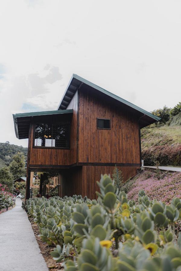 Lauraceas Lodge San Gerardo de Dota Exterior foto